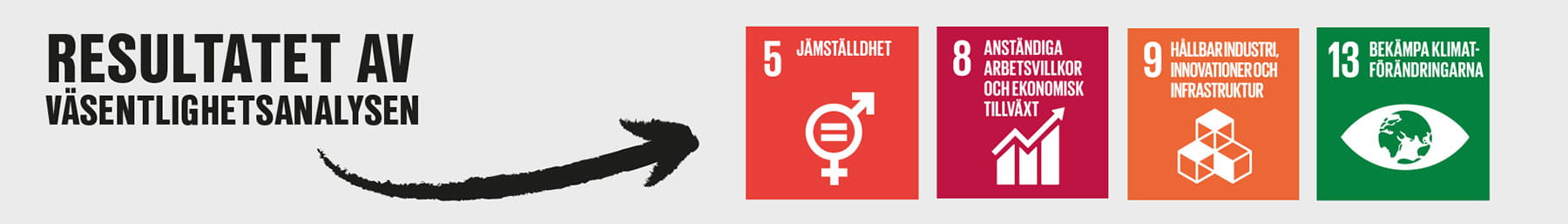 resultat från väsentlighetsanalysen 