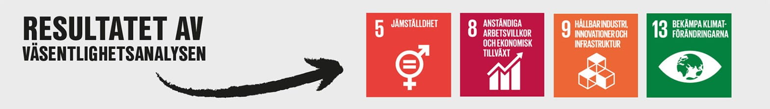 resultat från väsentlighetsanalysen