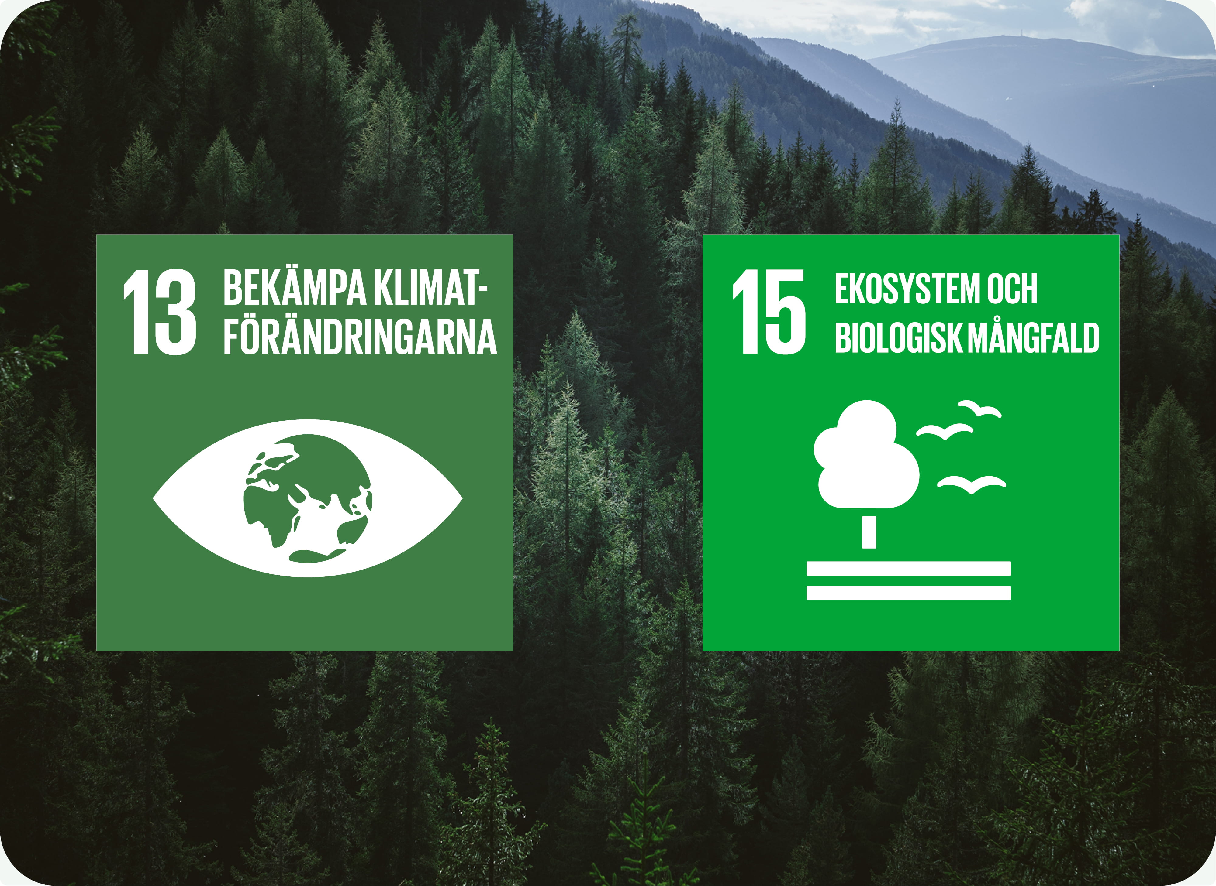 Bild på Telfas hållbarhetsmål nr 13 Bekämpa klimatförändringarna