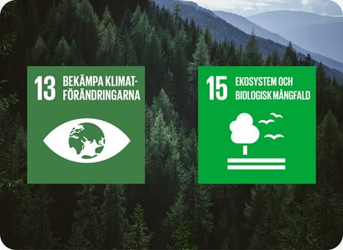 Bild på Telfas hållbarhetsmål nr 13 Bekämpa klimatförändringarna