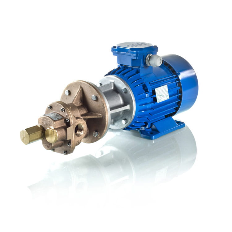 Oberdorfer pump Kugghjulspump från oberdofer med motor