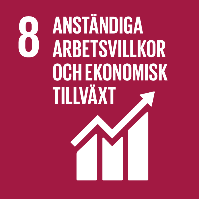 Globalt mål 8
