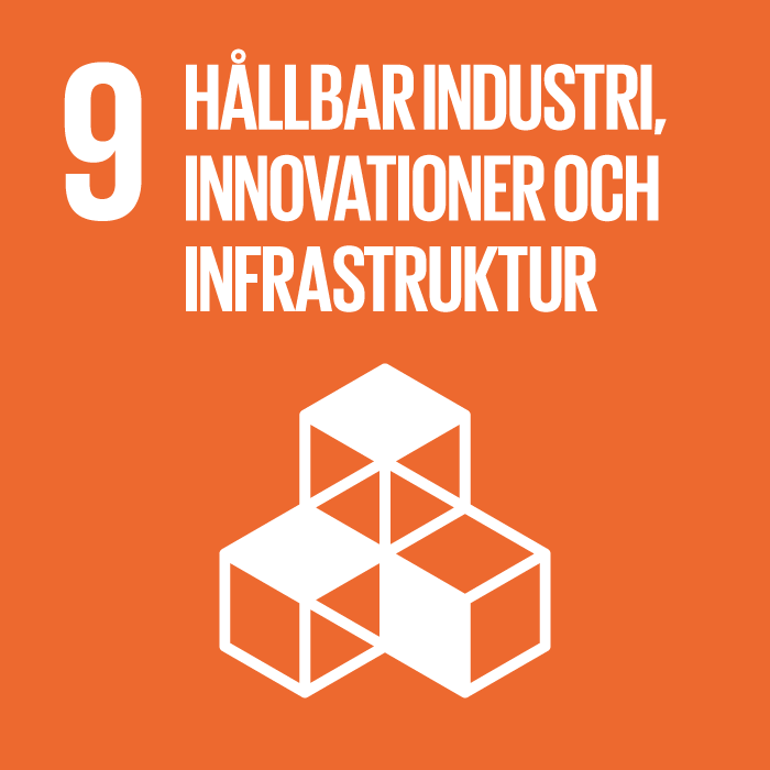 Globalt mål 09