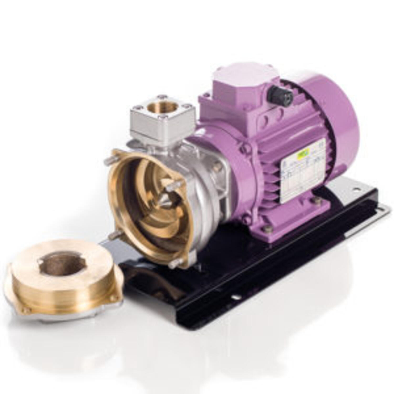 Centrifugalpump i gjutjärn eller brons, C30 med öppet pumphus från Victor Pumps. Det är en mångsidig pump som klarar av det mesta och kan stå i nästan alla miljöer.