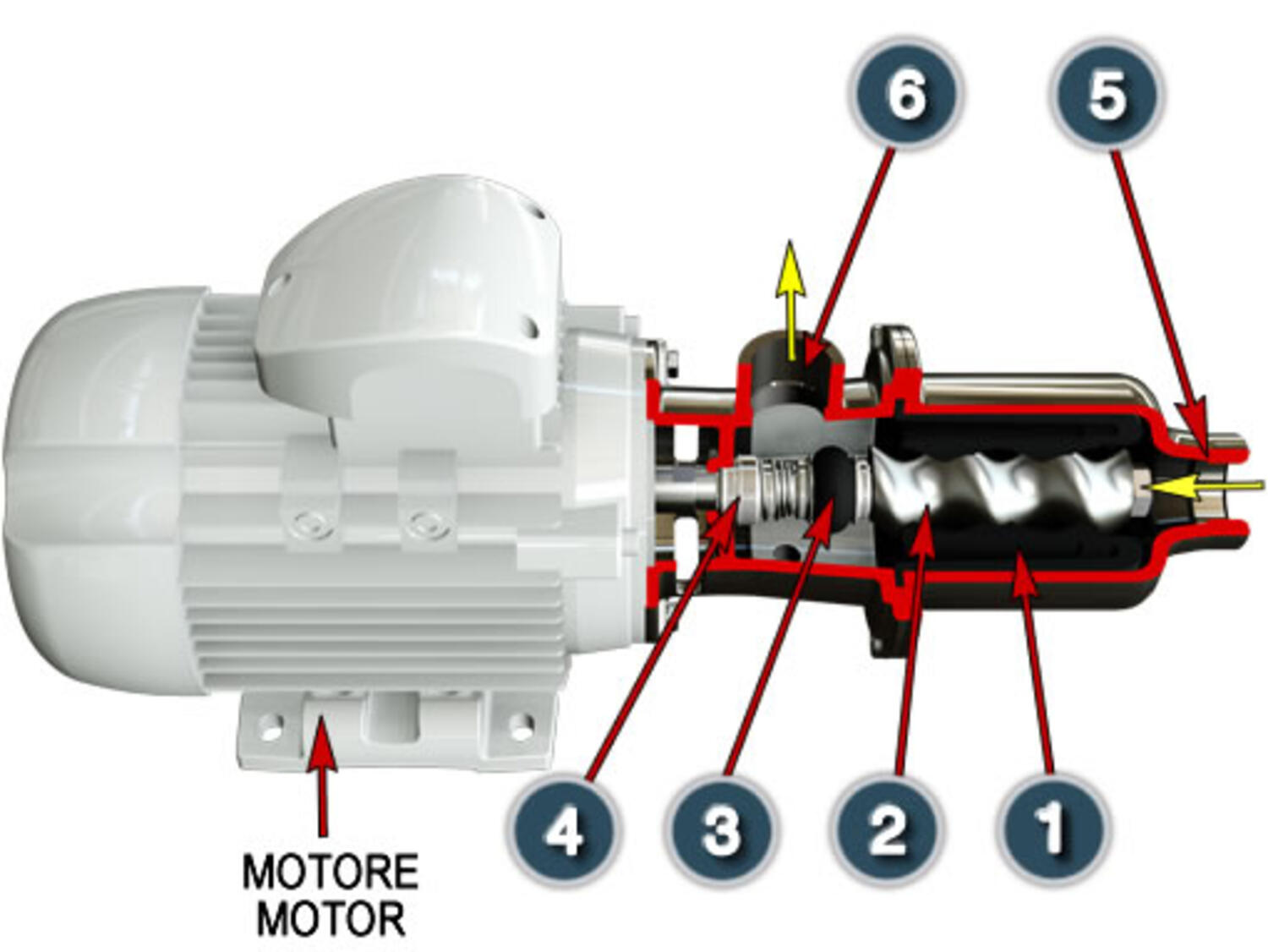Excenterskruvpump från Nova Rotors.
En uppskuren pump som visar med pilar/nummer var sakerna heter. 1. Stator 2. Rotor 3. Koppling 4. Tätning 5. Sugsida 6. Trycksida