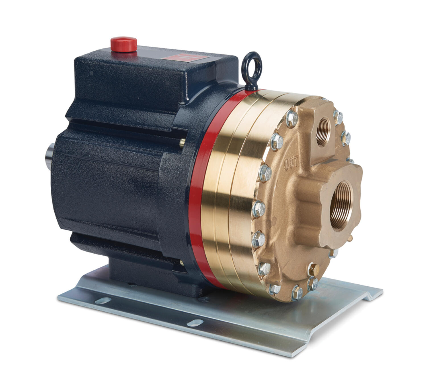 Motordriven multimembranpump G35 från Wanner Hyrdacell. Wanner HydraCell är en mycker robust pump som klarar av det mesta.