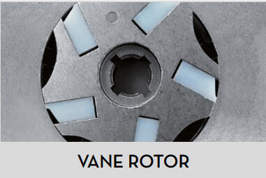 Vane rotor piusi_picture